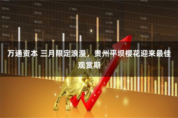 万通资本 三月限定浪漫，贵州平坝樱花迎来最佳观赏期